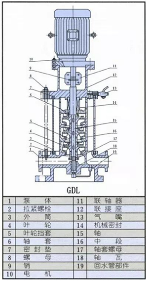 循環水泵結構圖